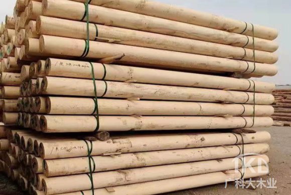 1661940182201164.jpg 20210721162381398139.jpg