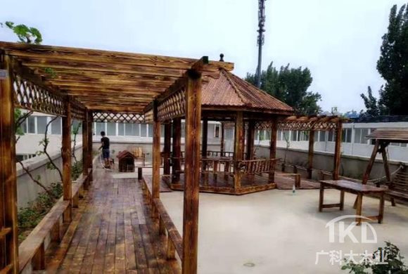 1661940564103675.jpg mmexport1606390498758.jpg